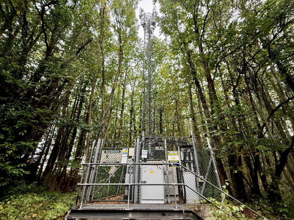Lot: 30 - MAST INVESTMENT - Telephone mast 2